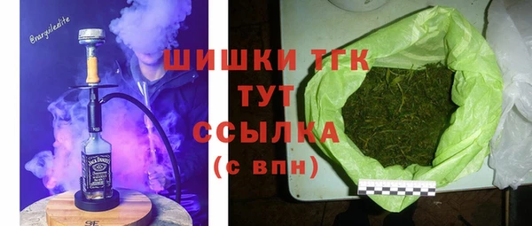 СК Гусев